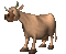 ani-cow-animals---ani-ko-djur - Free animated GIF Animated GIF