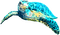 Sea Turtle.Blue - PNG gratuit GIF animé