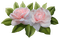 All My Roses - png ฟรี GIF แบบเคลื่อนไหว