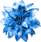 Flower.Blue - PNG gratuit GIF animé