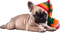 Kaz_Creations Dogs Dog Pup 🐶 - nemokama png animuotas GIF