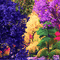 colorful nature background - Darmowy animowany GIF animowany gif