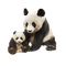 Salomelinda panda ! - 無料png アニメーションGIF