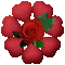 Rose - Nemokamas animacinis gif animuotas GIF