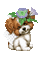flower,dog,papillon, butterfly, gif - Free animated GIF Animated GIF