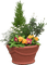 garden three katrin - Free PNG Animated GIF