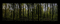 Mystic Forrest - GIF animasi gratis GIF animasi