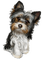 Hund, dog - zadarmo png animovaný GIF