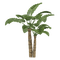 kikkapink tropical plant summer deco - δωρεάν png κινούμενο GIF