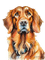 loly33 chien - ücretsiz png animasyonlu GIF