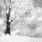 Y.A.M._Winter background black-white - GIF animado grátis Gif Animado