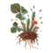 forest plants - 免费PNG 动画 GIF