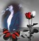 Steve Perry Butterfly Roses Frame - besplatni png animirani GIF