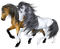 Kaz_Creations Animals Horses Horse - gratis png animerad GIF