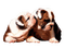 dolceluna chien dog dogs - png gratis GIF animasi