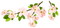 Kaz_Creations Spring Flowers - Free PNG Animated GIF