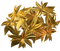 feuille.Cheyenne63 - Free PNG Animated GIF