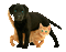 Black Lab Puppy Orange Kitten - GIF animado gratis GIF animado