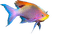 Морская  рыба - ücretsiz png animasyonlu GIF