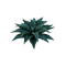 kasvi, plant - безплатен png анимиран GIF