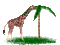 giraffe - Безплатен анимиран GIF анимиран GIF