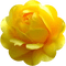 trandafir 33 - PNG gratuit GIF animé