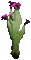 fleur violette.Cheyenne63 - Darmowy animowany GIF animowany gif