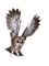 Owl - Darmowy animowany GIF