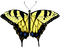 Vlinder 🦋 - ingyenes png animált GIF