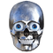Skull - ingyenes png animált GIF