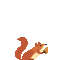 Squirrel - Бесплатный анимированный гифка анимированный гифка