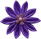 Kaz_Creations Deco Flower - gratis png animeret GIF