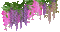 Fleurs.Flowers.gif.Purple.Pink.Victoriabea - Free animated GIF Animated GIF