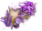 seashells purple Bb2 - PNG gratuit GIF animé