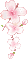 flower fleur blossom blumen deco tube    spring printemps     gif anime animated animation border line summer pink fleurs
