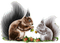 Squirrel Nut - Bogusia - PNG gratuit GIF animé