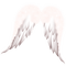 kikkapink angel wings white - nemokama png animuotas GIF