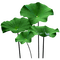PLANTA - Free PNG Animated GIF