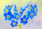 Background Flower Heart - Zdarma animovaný GIF animovaný GIF