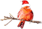 soave deco bird branch christmas winter red - PNG gratuit GIF animé
