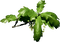 arbre - Bezmaksas animēts GIF