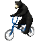 Bear riding bicycle animated gif - GIF animado grátis Gif Animado