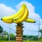 Banana Tree - bezmaksas png animēts GIF