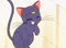 Laughing Luna the cat gif lol anime - Бесплатный анимированный гифка анимированный гифка