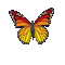 метелик - Zdarma animovaný GIF animovaný GIF