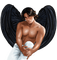 Black dark Angel bp - png gratis GIF animasi