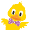 duck animal - Бесплатный анимированный гифка анимированный гифка