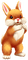 Bunny.Rabbit.Brown.White - Free PNG Animated GIF