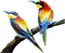 patymirabelle oiseau - GIF animado gratis