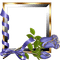 Cadre fleurs cadre dorée fleurs bleues Debutante ruban bleu blue frame blue flower - PNG gratuit GIF animé